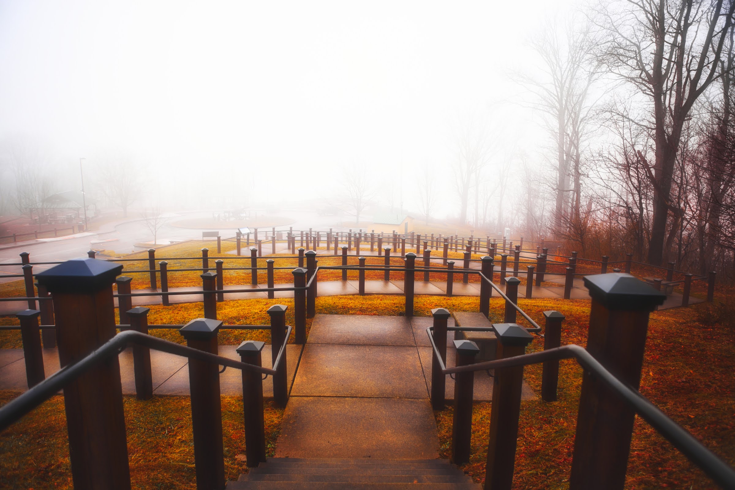 A path leading through a misty landscape